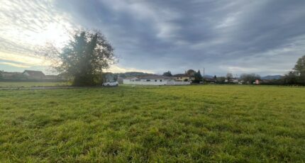 Juillan Terrain à bâtir - 2447839-902annonce2202603049iJFQ.jpeg Maisons France Confort