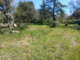 Terrain à bâtir à Saint-Maximin-la-Sainte-Baume (83470) 2474743-5922annonce1202604025wtpE.jpeg Maisons France Confort