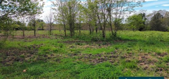 Terrain à bâtir à Gastes, Nouvelle-Aquitaine