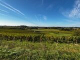 Terrain à bâtir à Artigues-près-Bordeaux (33370) 2399043-11383annonce1202602227y9QW.jpeg Maisons France Confort