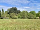 Maison à construire à Artigues-près-Bordeaux (33370) 2437039-11383annonce120260222ocWOe.jpeg Maisons France Confort