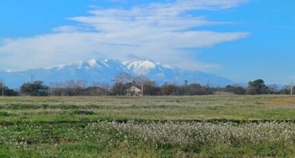 Villeneuve-de-la-Raho Maison neuve - 2381906-4671annonce120260105Azv5s.jpeg Maisons France Confort