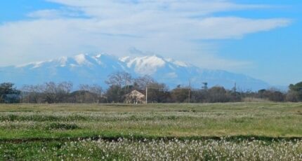 Villeneuve-de-la-Raho Maison neuve - 2413392-4671annonce120260130JAr2Z.jpeg Maisons France Confort