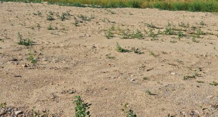 Saint-Laurent-de-la-Salanque Maison neuve - 2441561-4671annonce1202602264zzS9.jpeg Maisons France Confort