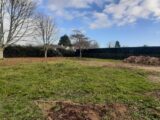 Maison à construire à Changé (72560) 2478141-6170annonce220260404CDlVI.jpeg Maisons France Confort