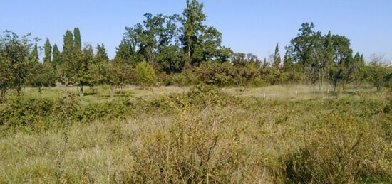 Terrain à bâtir à , Gard