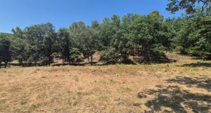 Taradeau Terrain à bâtir - 2478551-10152annonce12025063068PrT.jpeg Maisons France Confort