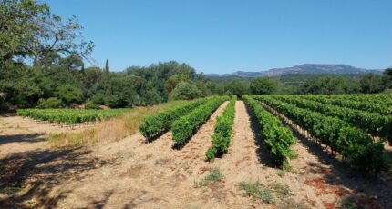 Cogolin Maison neuve - 2478536-10152annonce120251217R4PN5.jpeg Maisons France Confort