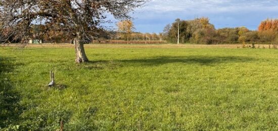 Terrain à bâtir à Sainte-Florence, Nouvelle-Aquitaine