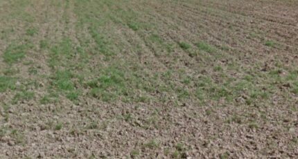 Agny Terrain à bâtir - 2478704-6159annonce3202604087TlDL.jpeg Maisons France Confort