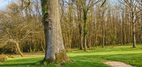 Terrain à bâtir à Gourdon, Occitanie
