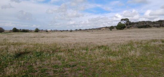 Terrain à bâtir à Bessan, Occitanie
