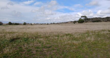 Bessan Maison neuve - 2479044-11040annonce120260408fpXSL.jpeg Maisons France Confort