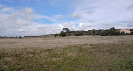 Bassan Terrain à bâtir - 2479087-11040annonce120260408h0XTe.jpeg Maisons France Confort