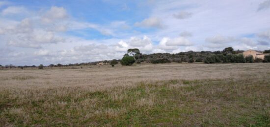 Terrain à bâtir à Bassan, Occitanie