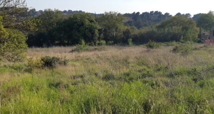 Pierrefeu-du-Var Terrain à bâtir - 2431354-11080annonce320260217aCmxs.jpeg Maisons France Confort
