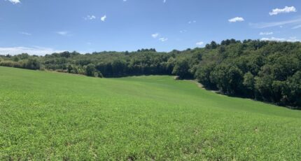 Agonac Maison neuve - 2445650-11794annonce120260303PyvpO.jpeg Maisons France Confort