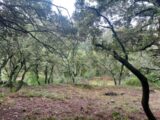 Terrain à bâtir à Sainte-Anastasie-sur-Issole (83136) 2451396-11137annonce120260309AiyXa.jpeg Maisons France Confort
