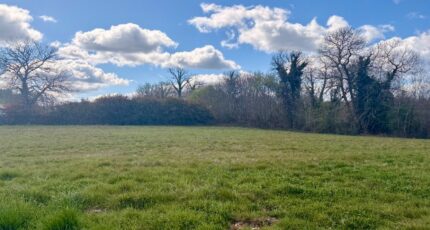 Antonne-et-Trigonant Maison neuve - 2479396-11794annonce120260408y9TtK.jpeg Maisons France Confort