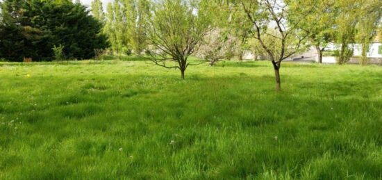 Terrain à bâtir à Landeronde, Pays de la Loire