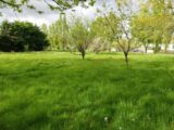 Maison à construire à Landeronde (85150) 2479256-11796annonce120260408Dfm45.jpeg Maisons France Confort