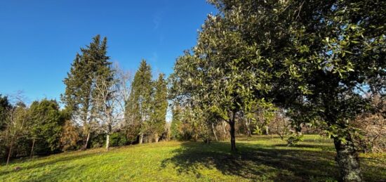 Terrain à bâtir à , Gironde