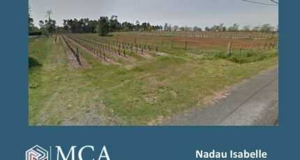 Saint-Savin Terrain à bâtir - 2479622-11516annonce1202604087Ruoh.jpeg Maisons France Confort