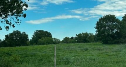 Blauzac Maison neuve - 2385387-3243annonce120250916GMdoo.jpeg Maisons France Confort