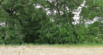 Montjoire Maison neuve - 2479522-5604annonce520260408x5JTE.jpeg Maisons France Confort