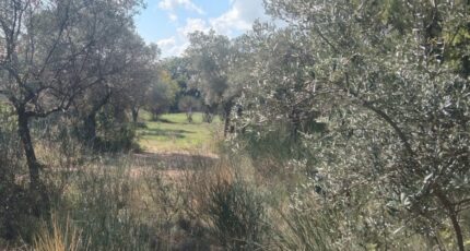 La Bastide-des-Jourdans Maison neuve - 2479716-9917annonce120260409C9yeM.jpeg Maisons France Confort