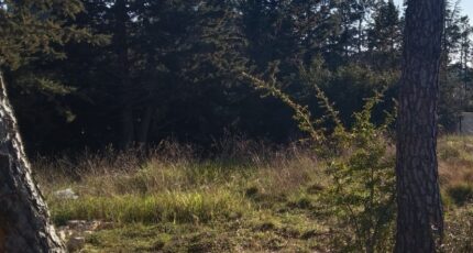 La Bastide-des-Jourdans Maison neuve - 2479727-9917annonce120260409dN28N.jpeg Maisons France Confort