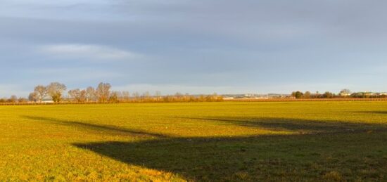 Terrain à bâtir à Sainte-Lheurine, Nouvelle-Aquitaine