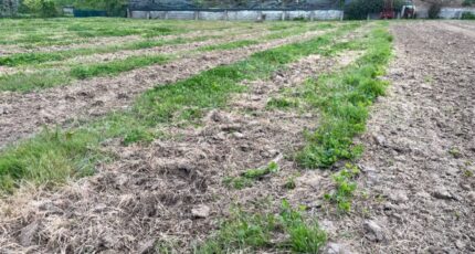 Bourg Terrain à bâtir - 2479570-11252annonce12026040809J89.jpeg Maisons France Confort