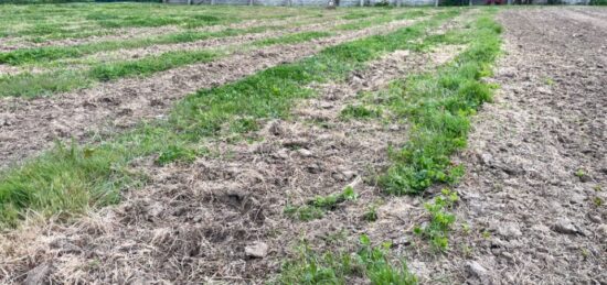 Terrain à bâtir à Bourg, Nouvelle-Aquitaine