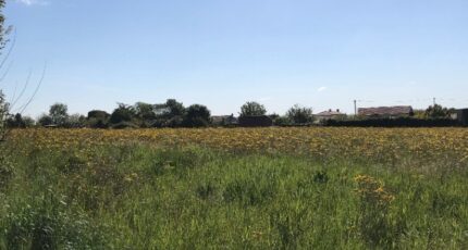 Angliers Maison neuve - 2480039-10442annonce3202604094uuqi.jpeg Maisons France Confort