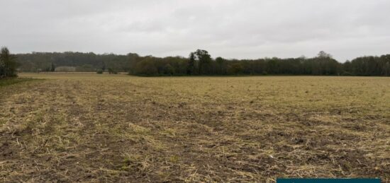 Terrain à bâtir à Mimbaste, Nouvelle-Aquitaine