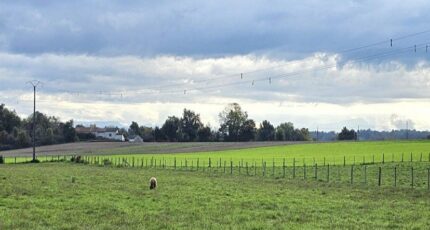 Saint-Clair-de-la-Tour Maison neuve - 2390399-11355annonce120260113FQwiT.jpeg Maisons France Confort