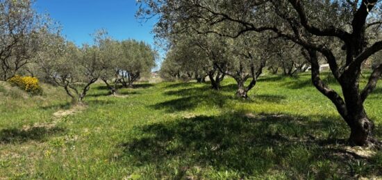 Terrain à bâtir à Vagnas, Auvergne-Rhône-Alpes