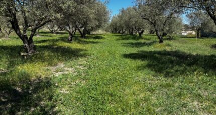 Vagnas Terrain à bâtir - 2480299-11001annonce220260409xEWHS.jpeg Maisons France Confort