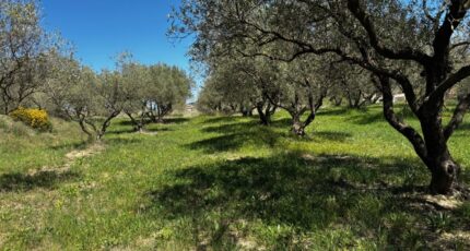 Vagnas Maison neuve - 2480303-11001annonce120260409P0i34.jpeg Maisons France Confort