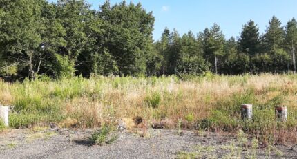 Ardenay-sur-Mérize Terrain à bâtir - 2451380-6170annonce120260309HeFEE.jpeg Maisons France Confort