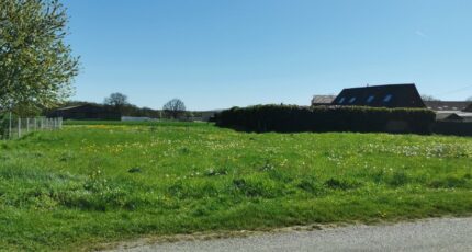 Louversey Terrain à bâtir - 2480401-5362annonce220260409l0HAm.jpeg Maisons France Confort