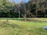 Terrain à bâtir à Longuesse (95450) 2480417-10622annonce120260409vi3oa.jpeg Maisons France Confort