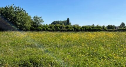 Bertry Terrain à bâtir - 2479133-10261annonce320260408ryUDu.jpeg Maisons France Confort