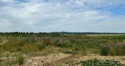 Bailleul-Sir-Berthoult Maison neuve - 2479405-6159annonce220260408CS9f9.jpeg Maisons France Confort