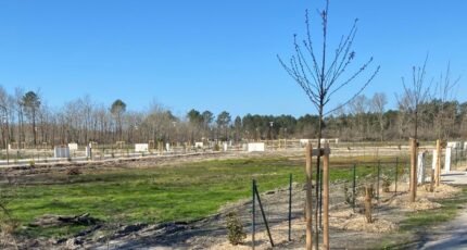 Le Taillan-Médoc Maison neuve - 2481006-10895annonce1202604103vQxJ.jpeg Maisons France Confort