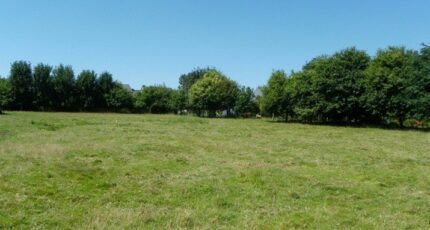 Couffoulens Maison neuve - 2481215-11456annonce120260410qZkkw.jpeg Maisons France Confort