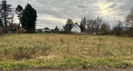 Colmar Maison neuve - 2481026-9613annonce120260410ywXOG.jpeg Maisons France Confort