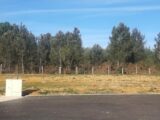 Maison à construire à Le Mans (72000) 2481145-6170annonce120260410se6lC.jpeg Maisons France Confort