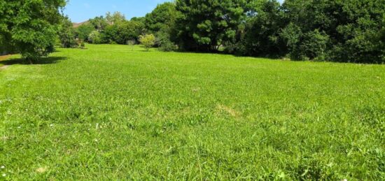 Terrain à bâtir à Mainxe, Nouvelle-Aquitaine